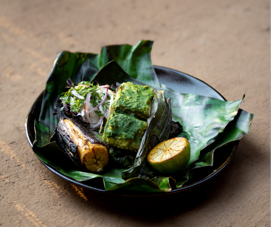 Platillos orgánicos